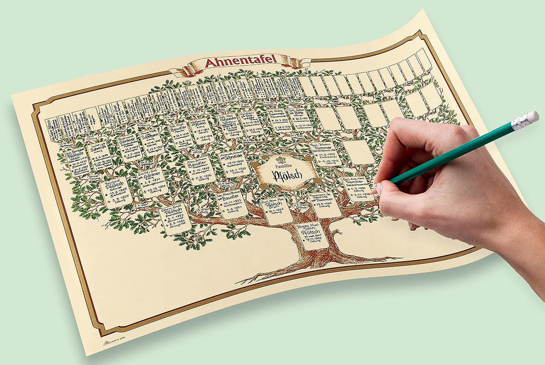RNK 2808 - Schmuck - Ahnentafel 1-63, 50 x 70 cm, aus Elefantenhautpapier, 1 Stück, Ahnentafel