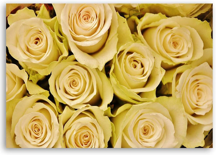 Feeby Leinwandbild Rose Bild Kunstdruck Blume Gelb 70x50 cm M14551 70x50 cm, M14551 70x50 cm