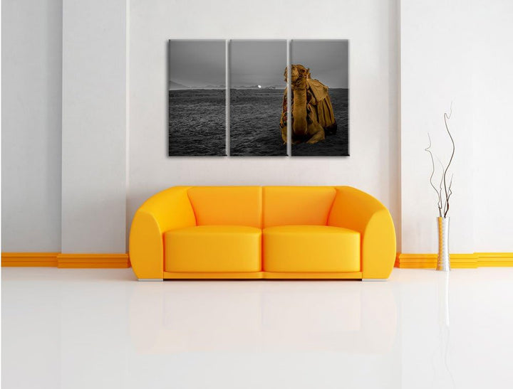 Pixxprint Kamel in Wüste bei Sonnenaufgang als Leinwandbild/Grösse: 3 Teilig (120x80 cm) cm/Wandbild