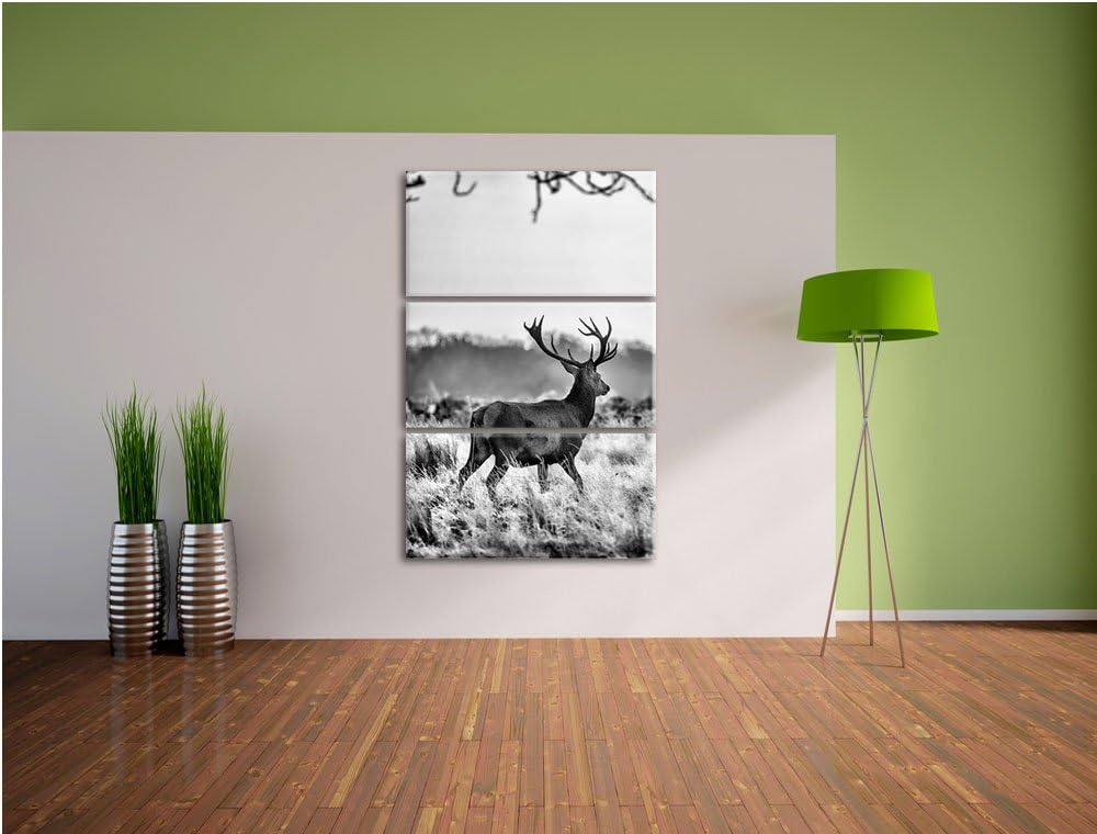 Pixxprint Hirsch im Sonnenuntergang als Leinwandbild/Grösse: 3 Teilig (120x80) cm/Wandbild/Kunstdruc