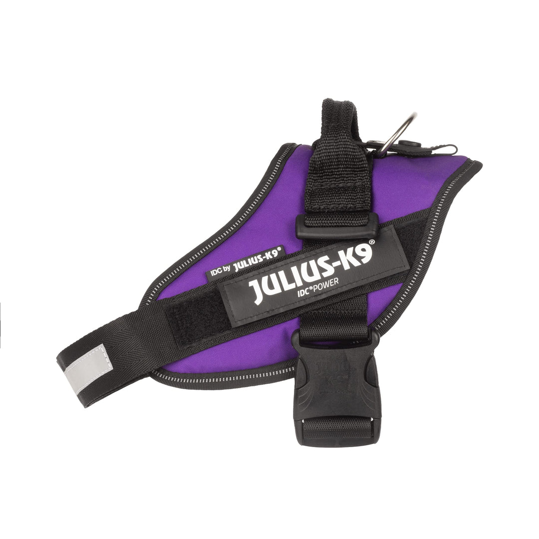 Julius-K9, IDC Powergeschirr, Grösse: M/0, Dunkelviolett