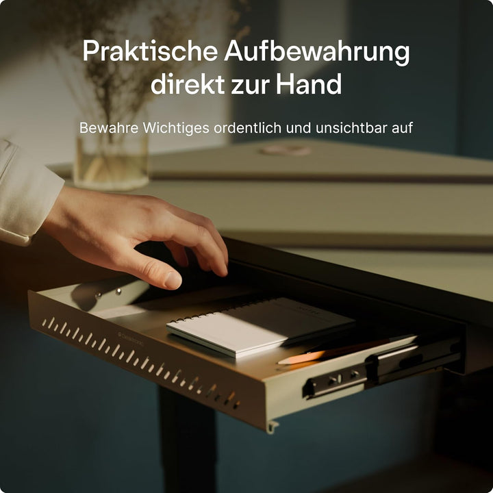 Desktronic Schreibtisch-Organizer, Untertisch-Aufbewahrungsbox, Schreibtisch für Büro Schule Homeoff