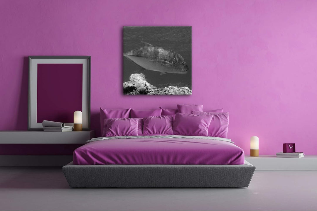 deyoli Blauer Fisch im klaren Wasser Format: 70x70 Effekt: Schwarz&Weiss als Leinwandbild, Motiv auf