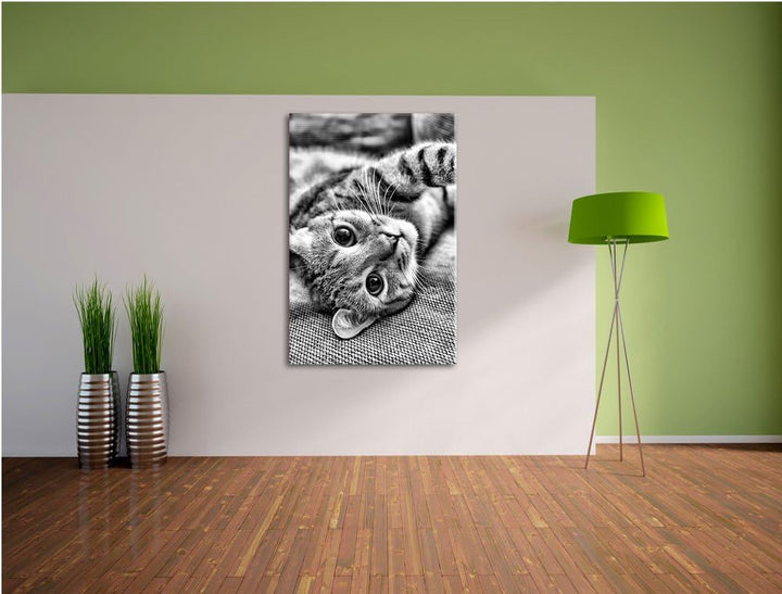 Pixxprint Monocrome, Süsses Kätzchen spielt, Format: 100x70 auf Leinwand, 100x70