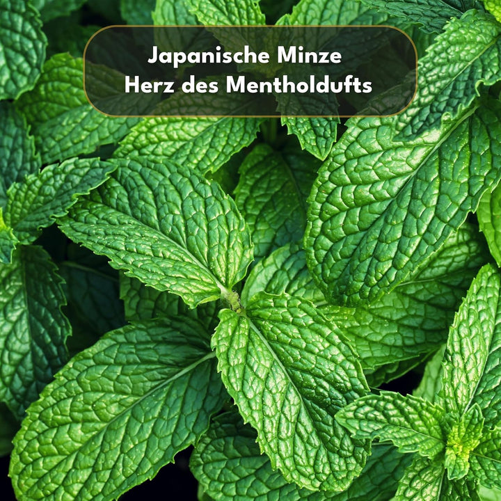 100g Mentholkristalle - 100% Natürlicher Menthol aus Japanischer Minze - Intensiver Kühl- und Erfris
