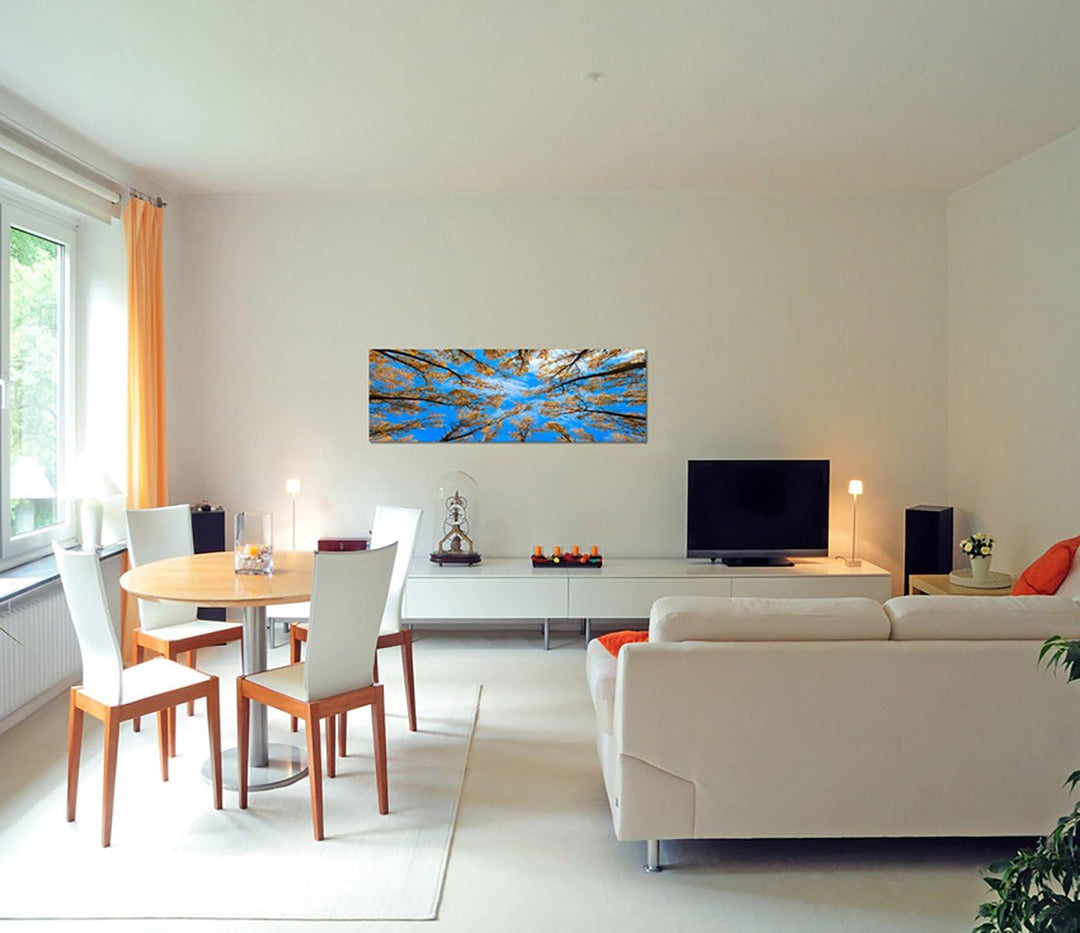 Paul Sinus Art Panoramabild auf Leinwand und Keilrahmen 150x50cm Baumkronen Wald Herbst Himmel