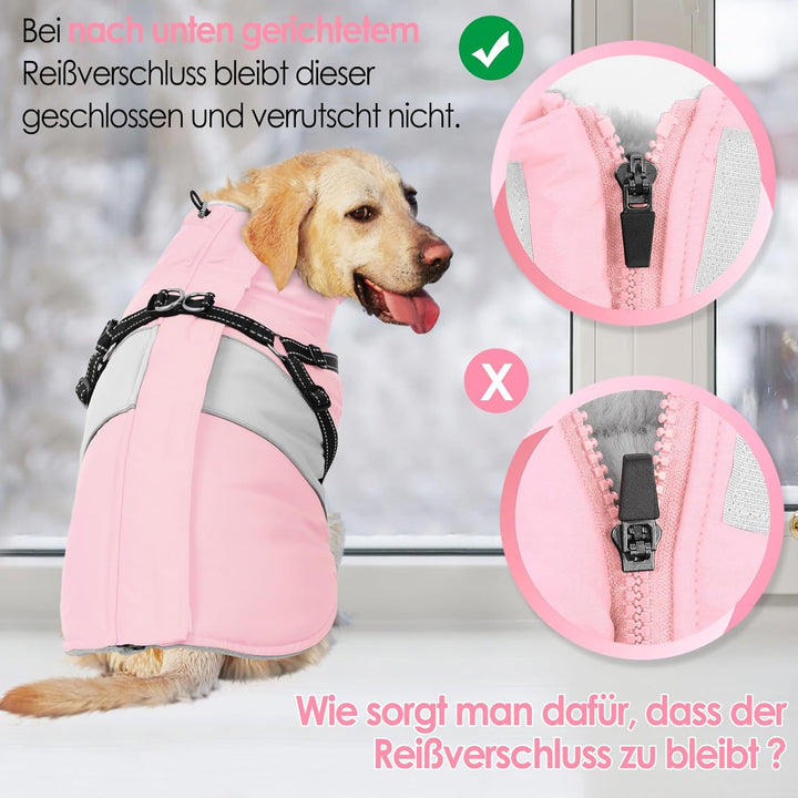 AOFITEE Hundemantel für Kleine Hunde, Wasserdicht Warme Hundejacke mit Geschirr, Winddicht Hunde Win