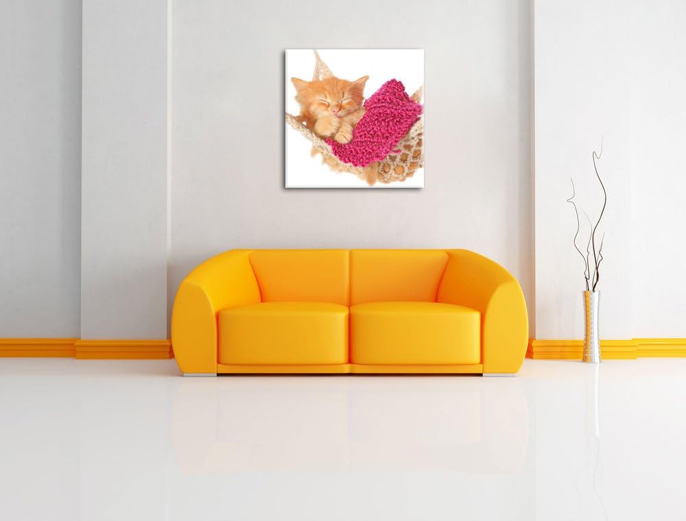 Pixxprint Katzenbaby in Hängematte als Leinwandbild Quadratisch/Grösse: 70x70 / Wandbild/Kunstdruck/