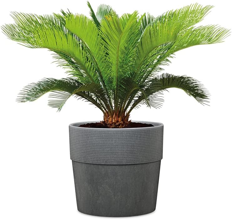 Scheurich Groove+ 30, Pflanzgefäss/Pflanzkübel, rund, Farbe: Carbon, hergestellt mit recyceltem Kuns