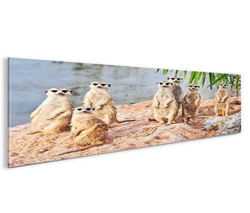 islandburner Bild Bilder auf Leinwand Erdmaennchen Panorama XXL Poster Leinwandbild Wandbild art up