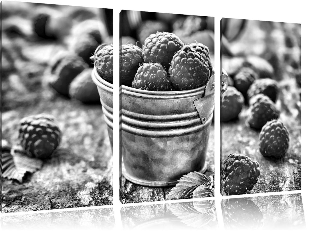 Pixxprint Monocrome, Früchte Eimer Obst Fruit Food 3-Teiler Leinwandbild 120x80 Bild auf Leinwand