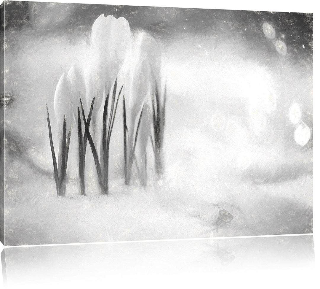 Pixxprint Schneeglöckchen im Frühjahr Kunst Kohle Effekt, Format: 100x70 auf Leinwand, XXL riesige B
