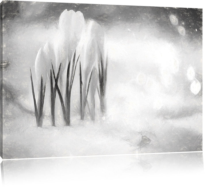Pixxprint Schneeglöckchen im Frühjahr Kunst Kohle Effekt, Format: 100x70 auf Leinwand, XXL riesige B