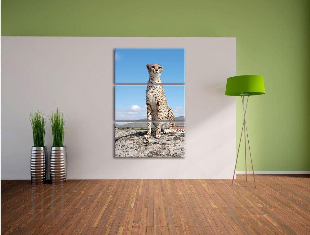Pixxprint Wachsamer Gepard als Leinwandbild/Grösse: 3 Teilig (120x80) cm/Wandbild/Kunstdruck/fertig