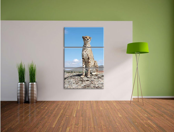 Pixxprint Wachsamer Gepard als Leinwandbild/Grösse: 3 Teilig (120x80) cm/Wandbild/Kunstdruck/fertig