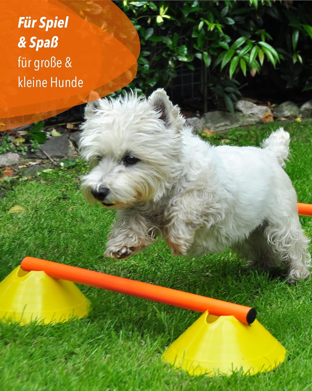 Cavaletti Mini-Hürden 10er Set – Markiermulden Orange & gelbe 50cm Stangen – inkl. Tragetasche – sic