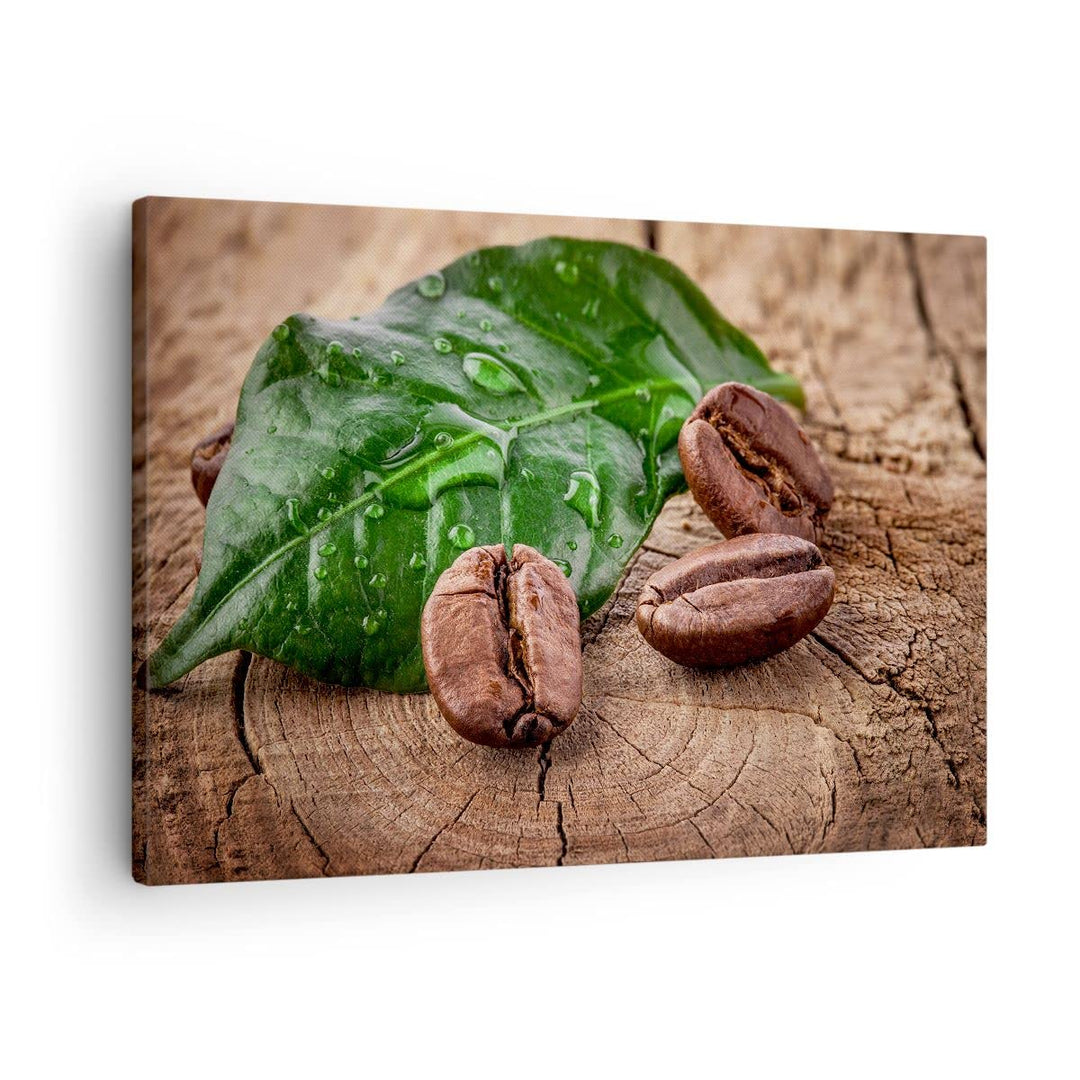 Bilder auf Leinwand Aroma Kaffee Pflanze Samen Leinwandbild 70x50cm Wandbilder Dekoration Wohnzimmer