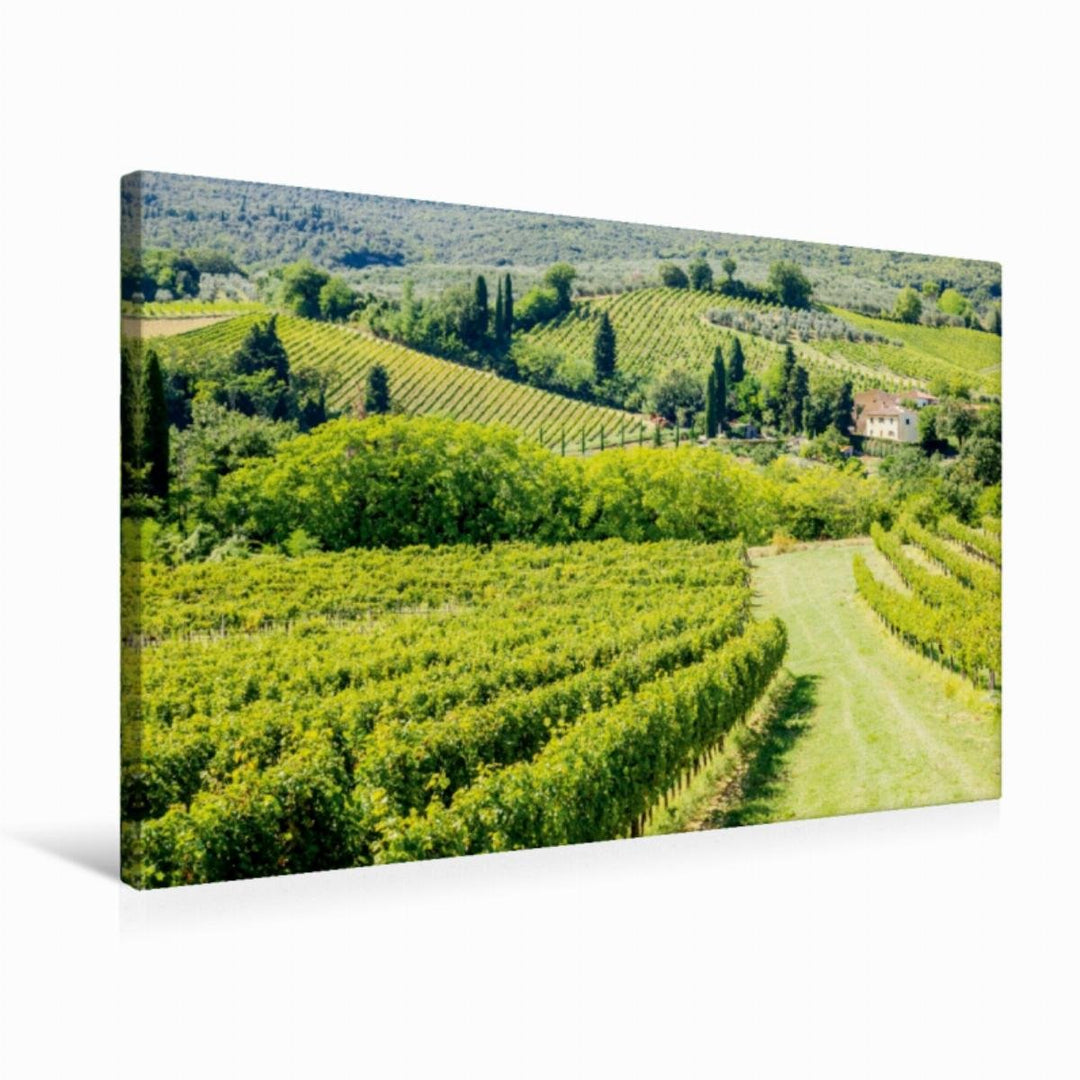 Premium Textil-Leinwand 75 x 50 cm Quer-Format Weinberg bei San Gimignano | Wandbild, HD-Bild auf Ke