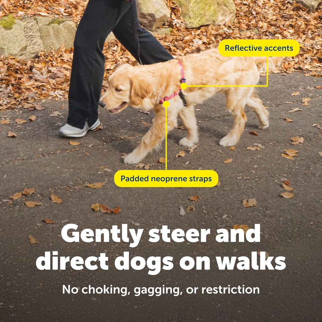 PetSafe Deluxe Easy Walk Hundegeschirr Orange/Schwarz Large, Orange/Schwarz Large