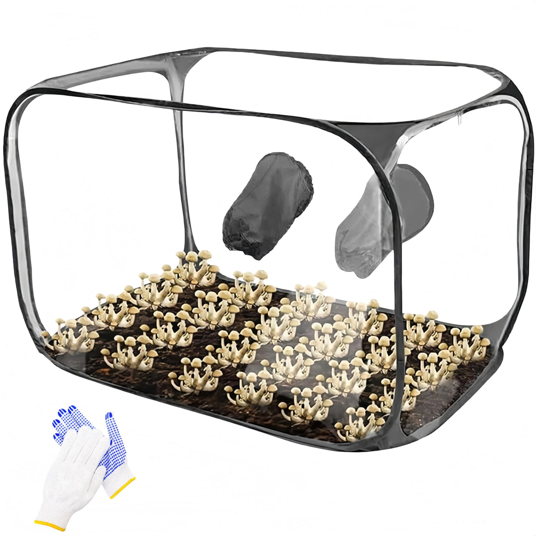 Pilzzucht-Set faltbar, Still Air Box | 85 x 52 x52 cm transparentes Pilzzuchtzelt | Tragbares Pop-Up