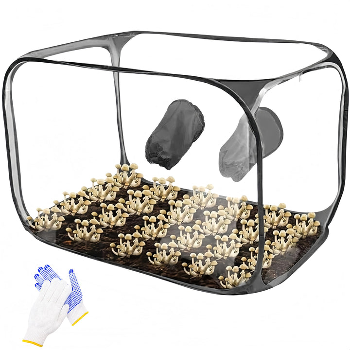 Pilzzucht-Set faltbar, Still Air Box | 85 x 52 x52 cm transparentes Pilzzuchtzelt | Tragbares Pop-Up