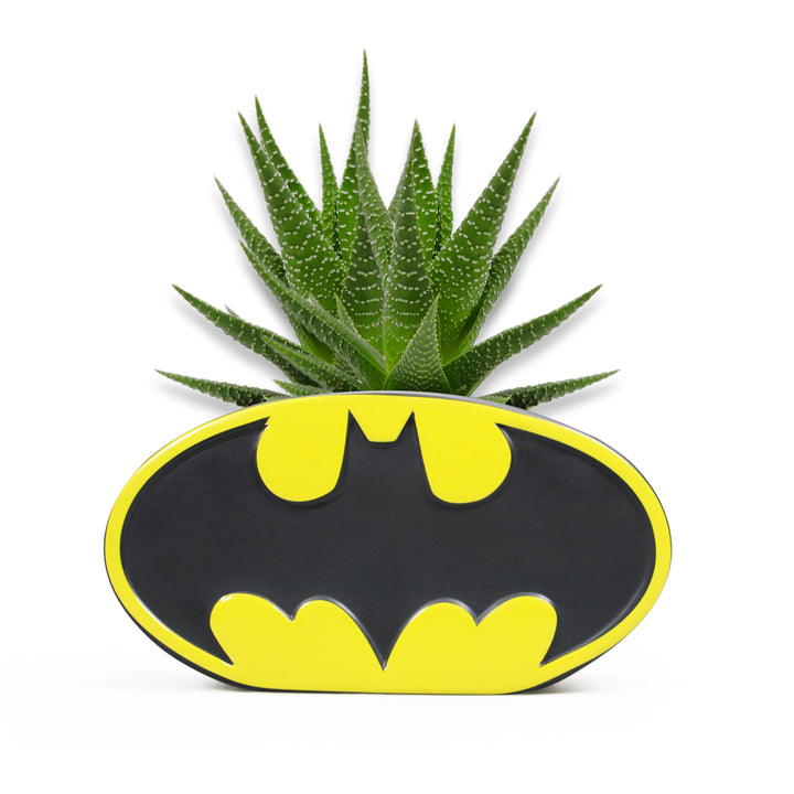 Half Moon Bay Blumentopf - DC Comics Batman Pflanztopf - The Batman Fanartikel - Offizielle Lizenz,