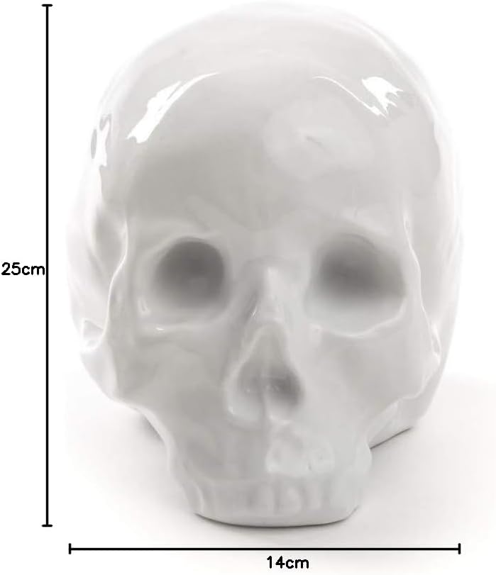 SELETTI My Skull Kuriositäten, Porzellan, Weiss, 25 x 14 x 15 cm