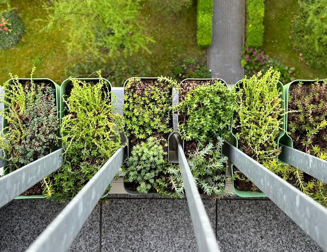 4 x Blumenkasten für Balkongeländer als Sichtschutz oder Rankhilfe, Array-Planter, Quarzgrau, 4 Lite