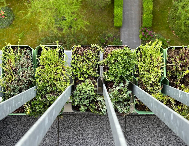 4 x Blumenkasten für Balkongeländer als Sichtschutz oder Rankhilfe, Array-Planter, Quarzgrau, 4 Lite