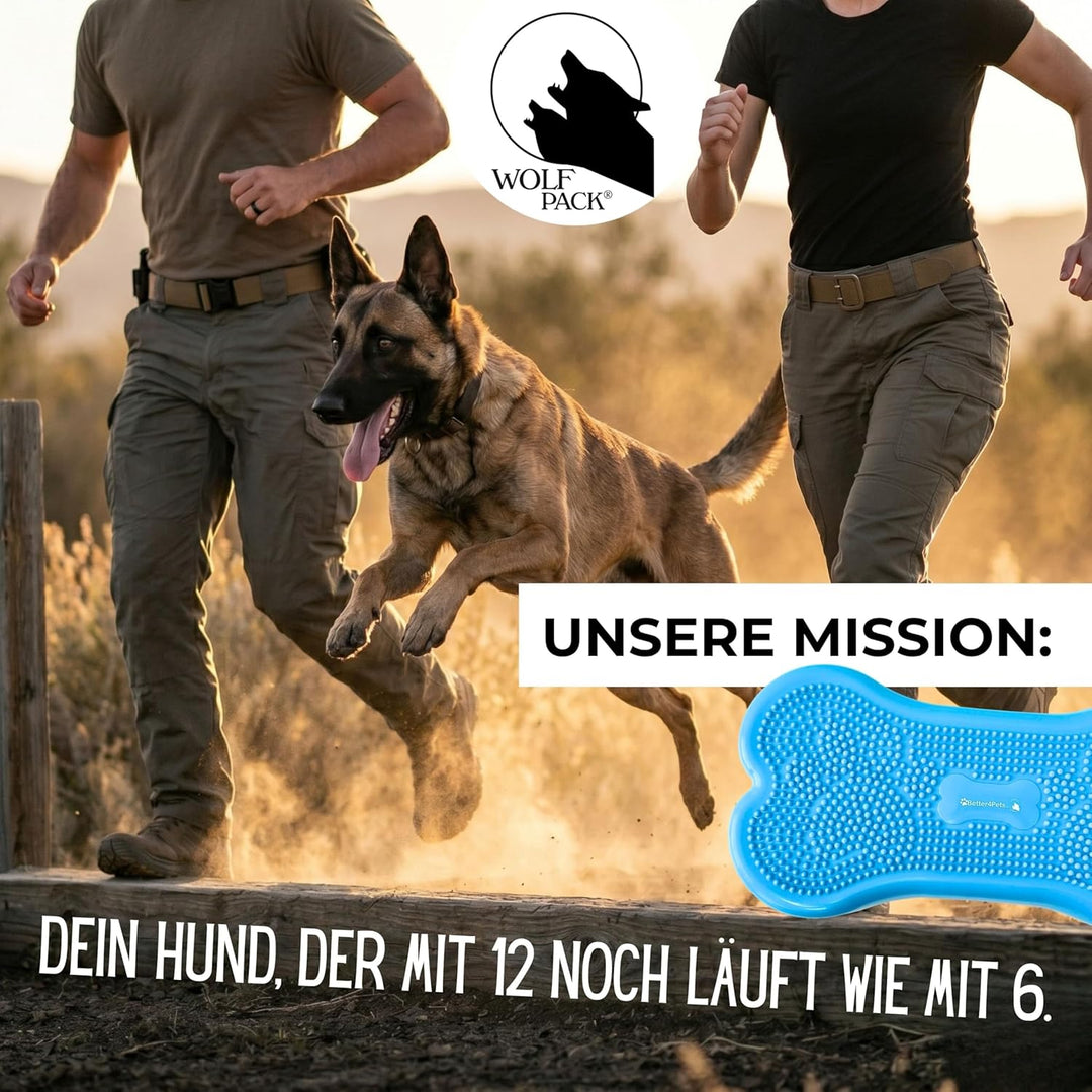 Wolfpack® Fitness Dog Bone – Balance Pad &amp; Physio Wackelkissen für kleine &amp; grosse Hunde – krallenfe