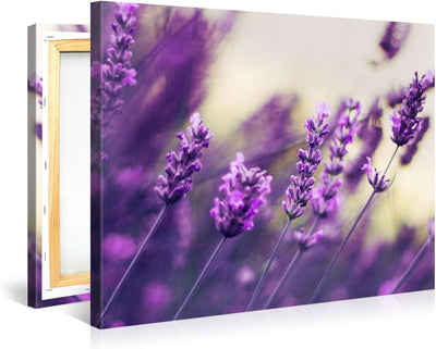 PICANOVA – Purple Lavendel 100x75cm – Premium Leinwanddruck – Kunstdruck Auf 2cm Holz-Keilrahmen Für