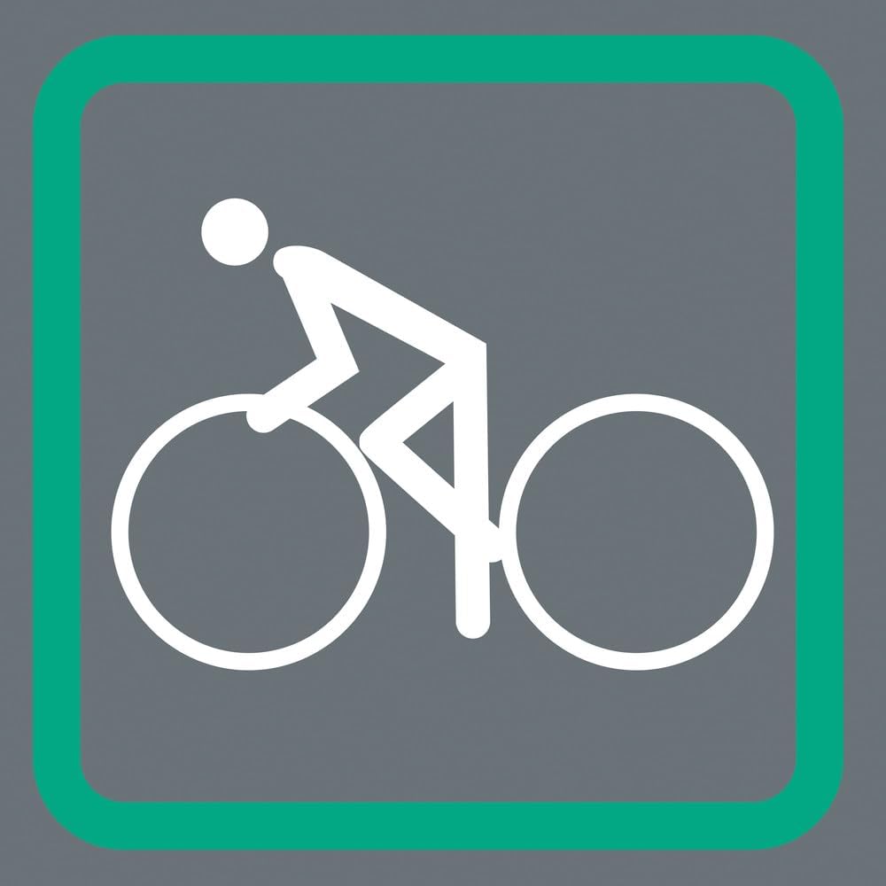 Wera 05004171001 Bicycle Set 2, Fahrrad Schraubendreher Wechselklingen Satz, 13-teilig Schraubendreh