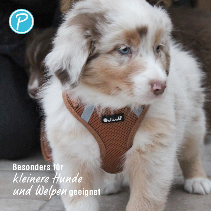 Petlando Hundegeschirr Mesh Vest, leichtes Brustgeschirr aus weichem Mesh & Nylon, stufenlos verstel