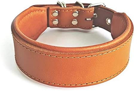 Bestia™ Classic Echtleder Hundehalsband. 100% Leder. Weich gepolstert. TOP Qualität!