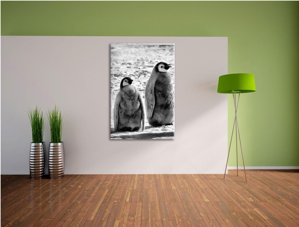 Pixxprint Monocrome, Vier Kaiserpinguin-Küken, Format: 100x70 auf Leinwand, riesige Bilder fertig ge
