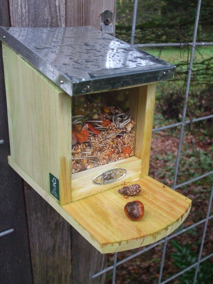 Eichhörnchen Futterhaus, futterautomat, futterstelle + 500 Gr Futter