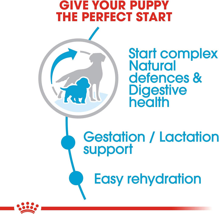 ROYAL CANIN Hundefutter Medium Starter 12 kg, 1er Pack (1 x 12 kg) 12 kg (1er Pack), 12 kg (1er Pack