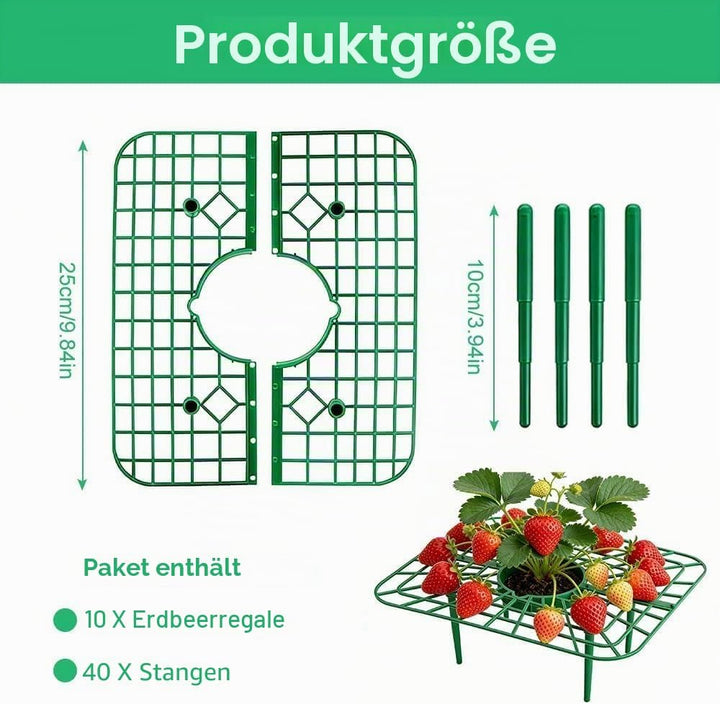 10 Stück Erdbeerstützen Ständer, Erdbeeren Schutz Quadratisch Erdbeerreifer Erdbeerregal Abnehmbares