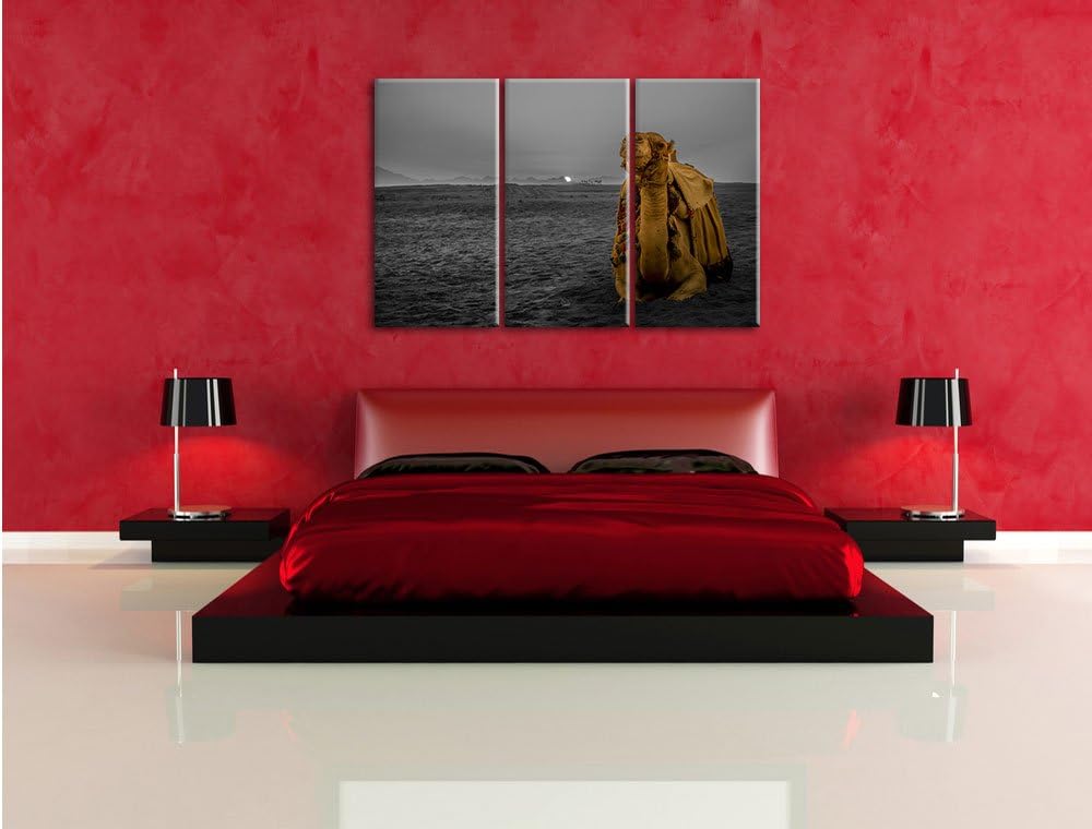 Pixxprint Kamel in Wüste bei Sonnenaufgang als Leinwandbild/Grösse: 3 Teilig (120x80 cm) cm/Wandbild
