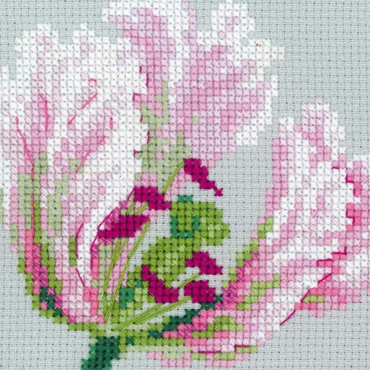 RIOLIS Spring Tulips Cross Stitch kit, Baumwolle, multi-color, 70 x 30 x 0,1 cm