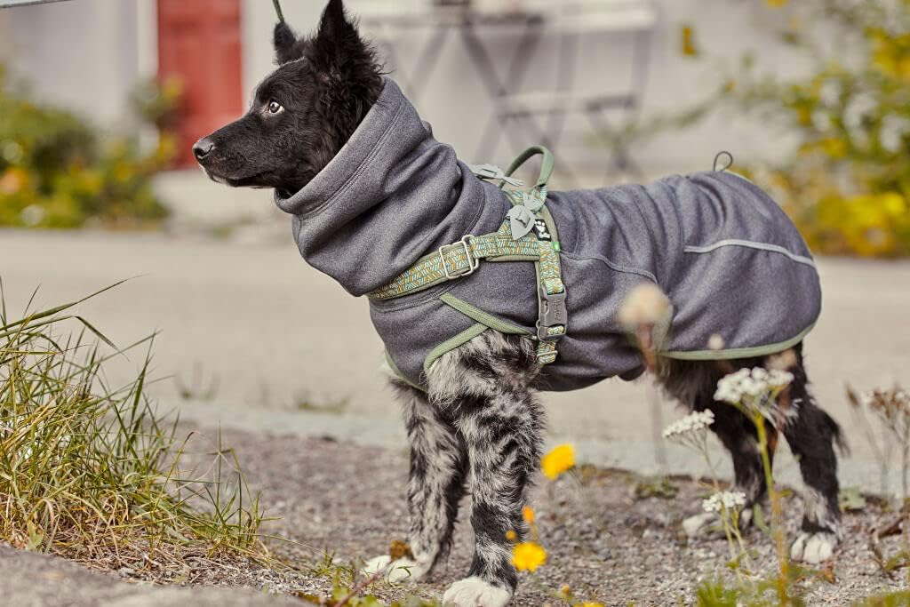 Hurtta Razzle-Dazzle Midlayer Jacke für Hunde, verstellbar, wendbar, Pull On, unter Regenmänteln und
