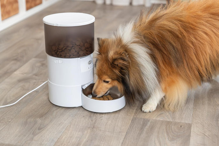 TRIXIE Futterautomat TX-S Smart 3.0L für Hunde & Katzen – programmier- und steuerbarer Futterspender