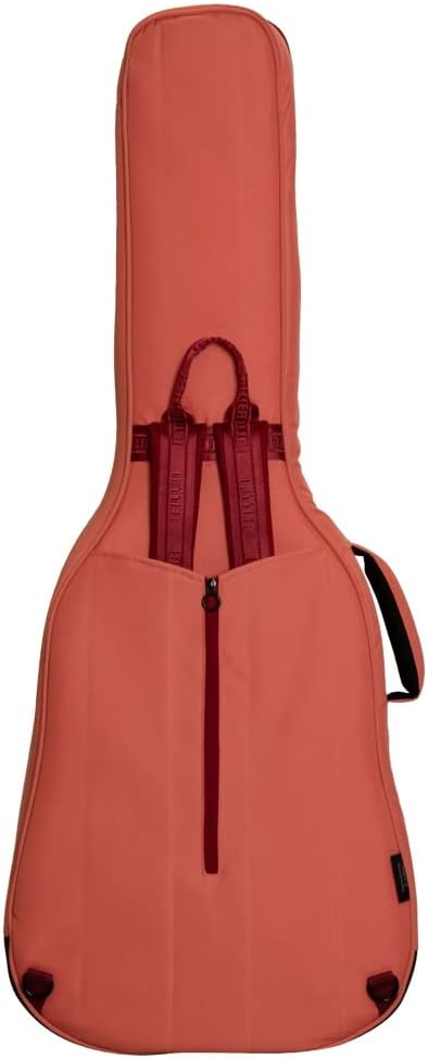 Ritter Bern RI-RGB4-D-FRO Dreadnought Gigbag