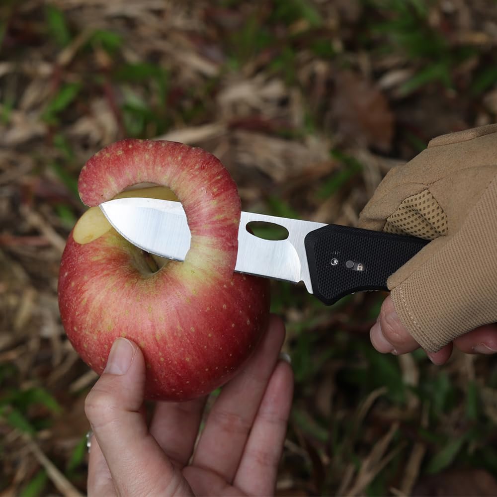 Roxon S501U Folding Pocket Scissors &Replaceable Changeable Knife Blade mit Belt Clip, 2 in 1 Multi-