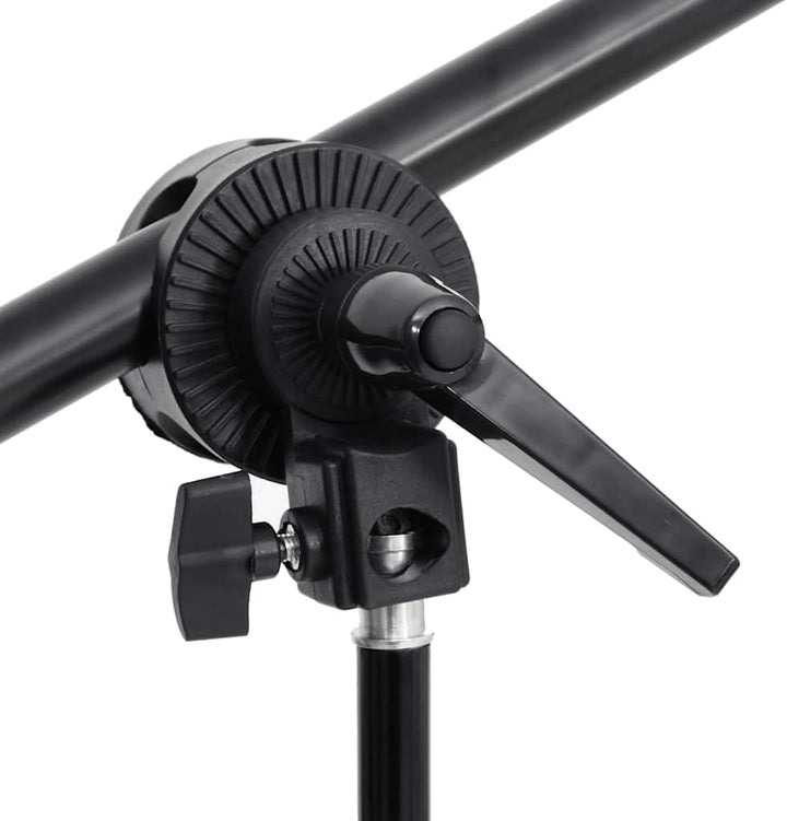 vidaXL Fotostudio-Set mit Beleuchtung und Hintergrund, Studio-Kit, Tageslicht-Lampe, Studio-Beleucht