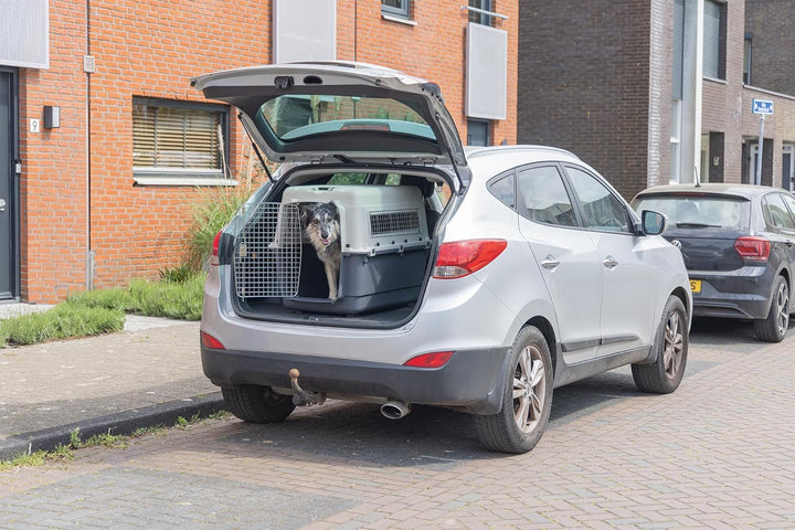 Karlie Flugzeugbox Nomad L: 90 cm B: 60 cm H: 68 cm XL < 38,00 kg Frontloader L 91 x B 60 x H 74 cm,