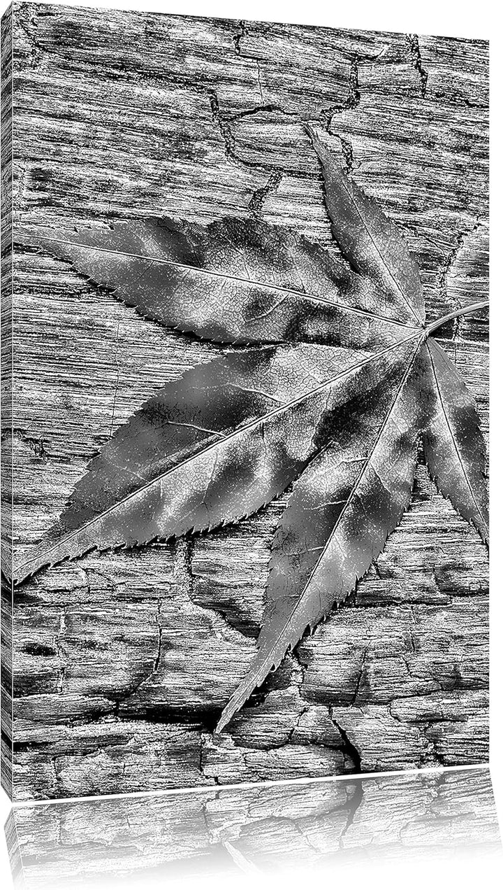 Pixxprint Blatt auf Holz, Laub, Natur als Leinwandbild/Grösse: 100x70 cm/Wandbild/Kunstdruck/fertig