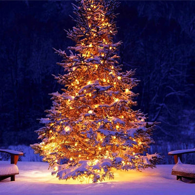 Lichterkette aussen 20m 200er LED Lichterkette Weihnachtsbaum Strombetrieben (31V) mit Timer, Speich