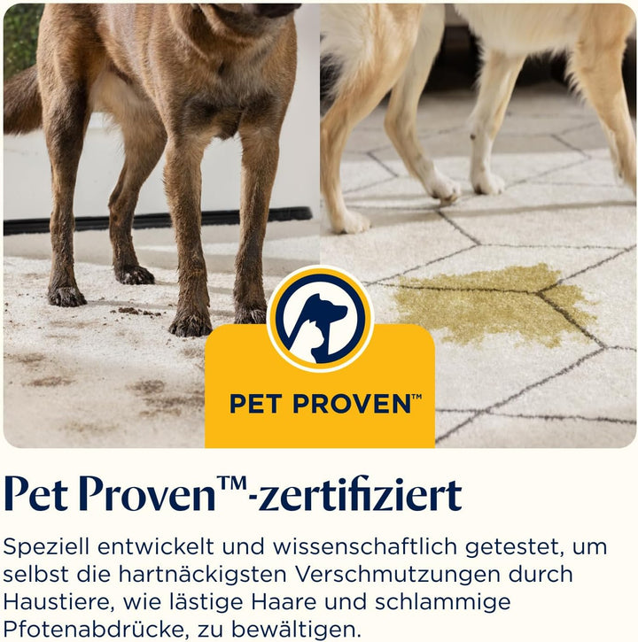 BISSELL SpotClean HydroSteam | Fleckenreiniger für Hartnäckige Flecken | Dampft, Schrubbt und Saugt