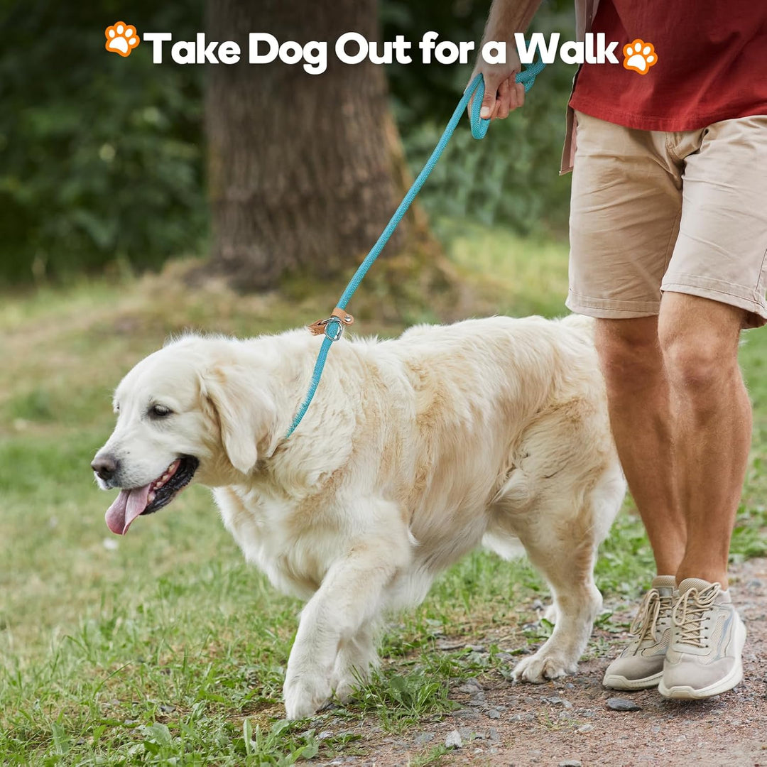 Grand Line Retrieverleine mit Zugstopp, 150 cm Moxonleine Reflektierende Hundeleine, Sicher Dauerhaf